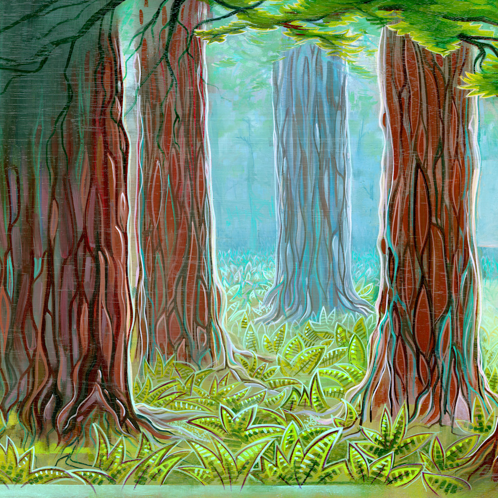 Redwoods soo7jq