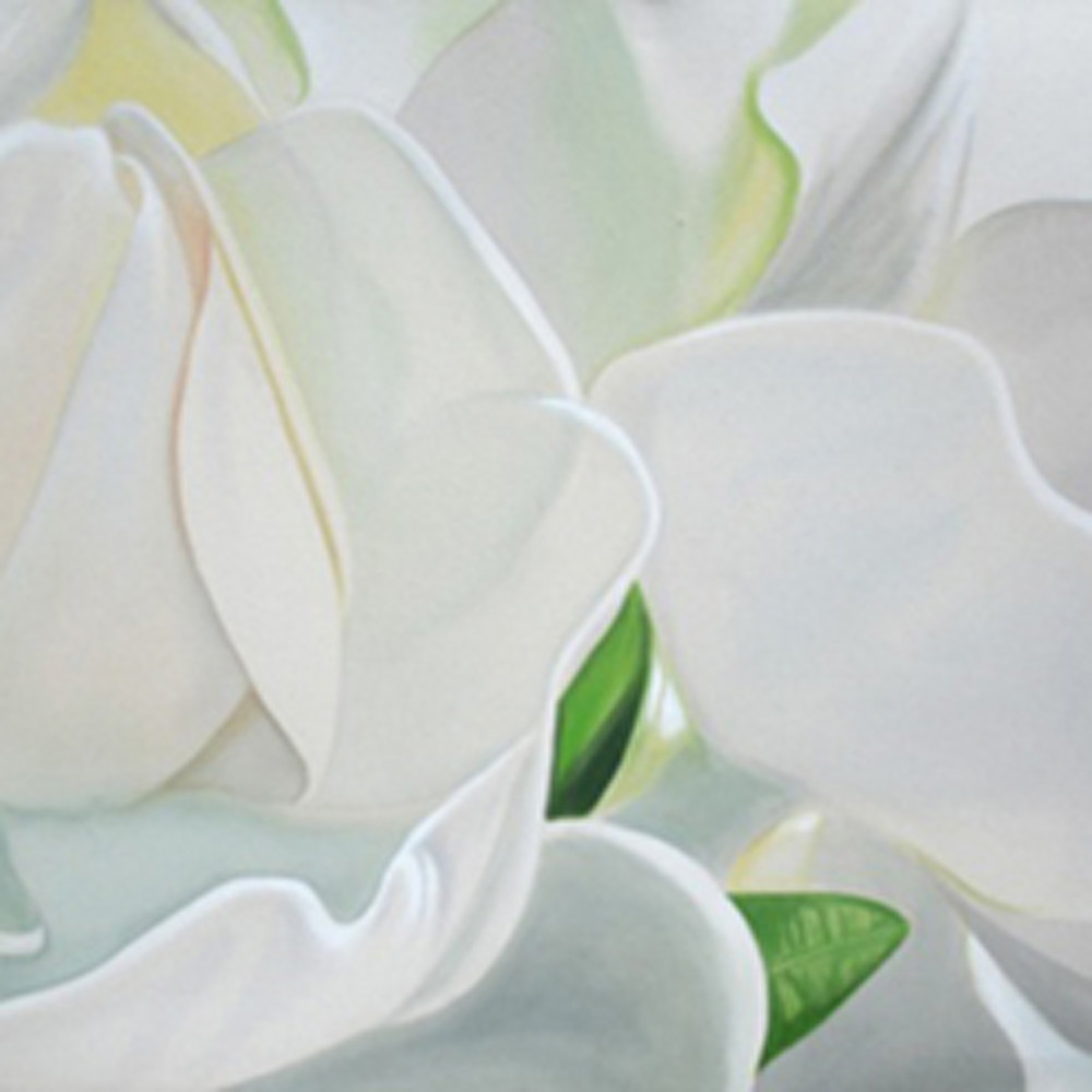 Ns white gardenias oinpjq