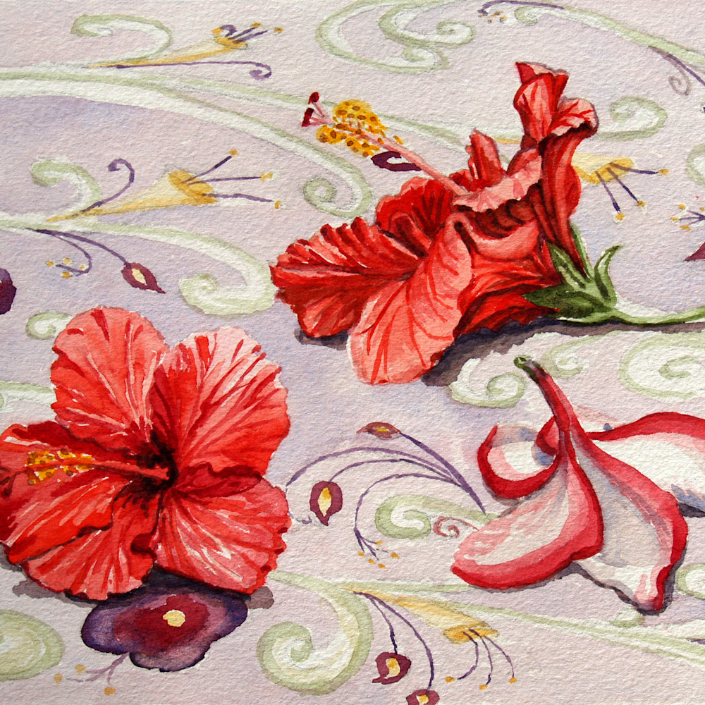 Hibiscus and plumeria wlb12b