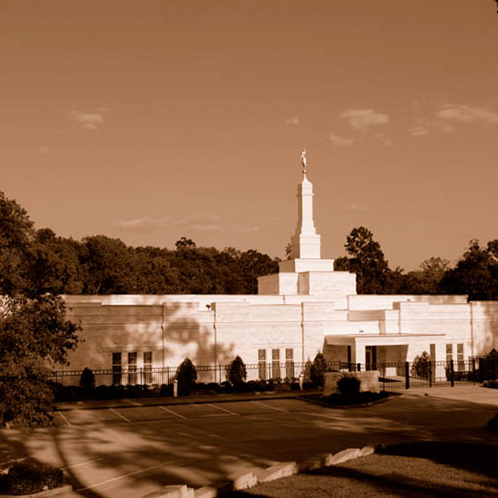 Hank delespinasse baton rouge temple   panoramic sepia from the side ugwbqd