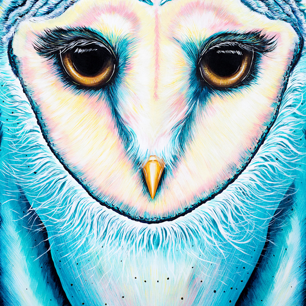 Owl mflsyn