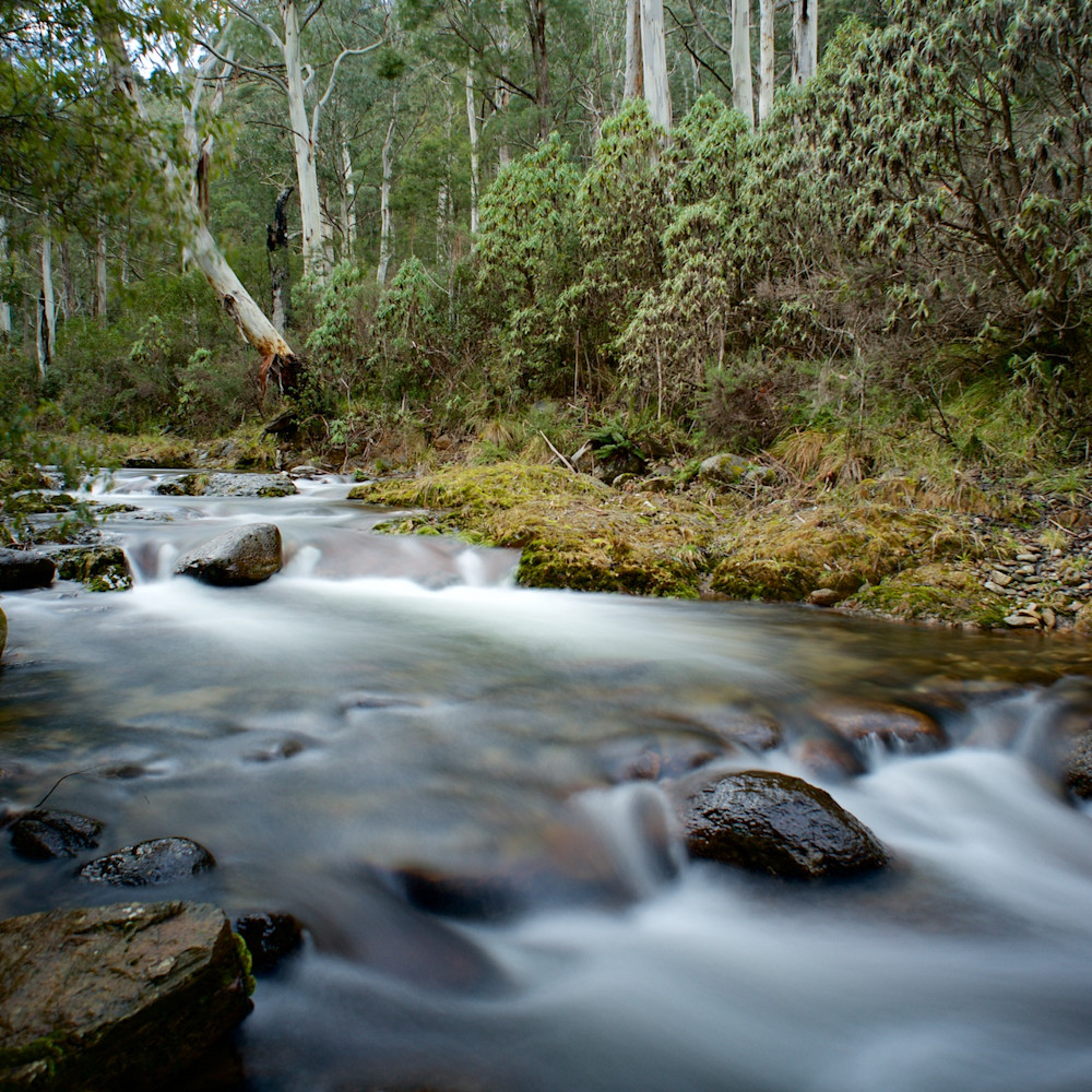 Alpine flow leatherbarrel creek khancoban kosciuszko national park nsw australia dvefnq
