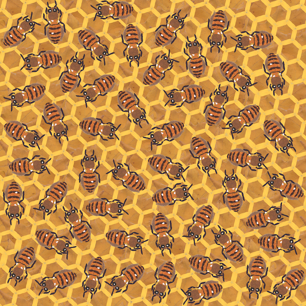 Bee hive ubmsi9