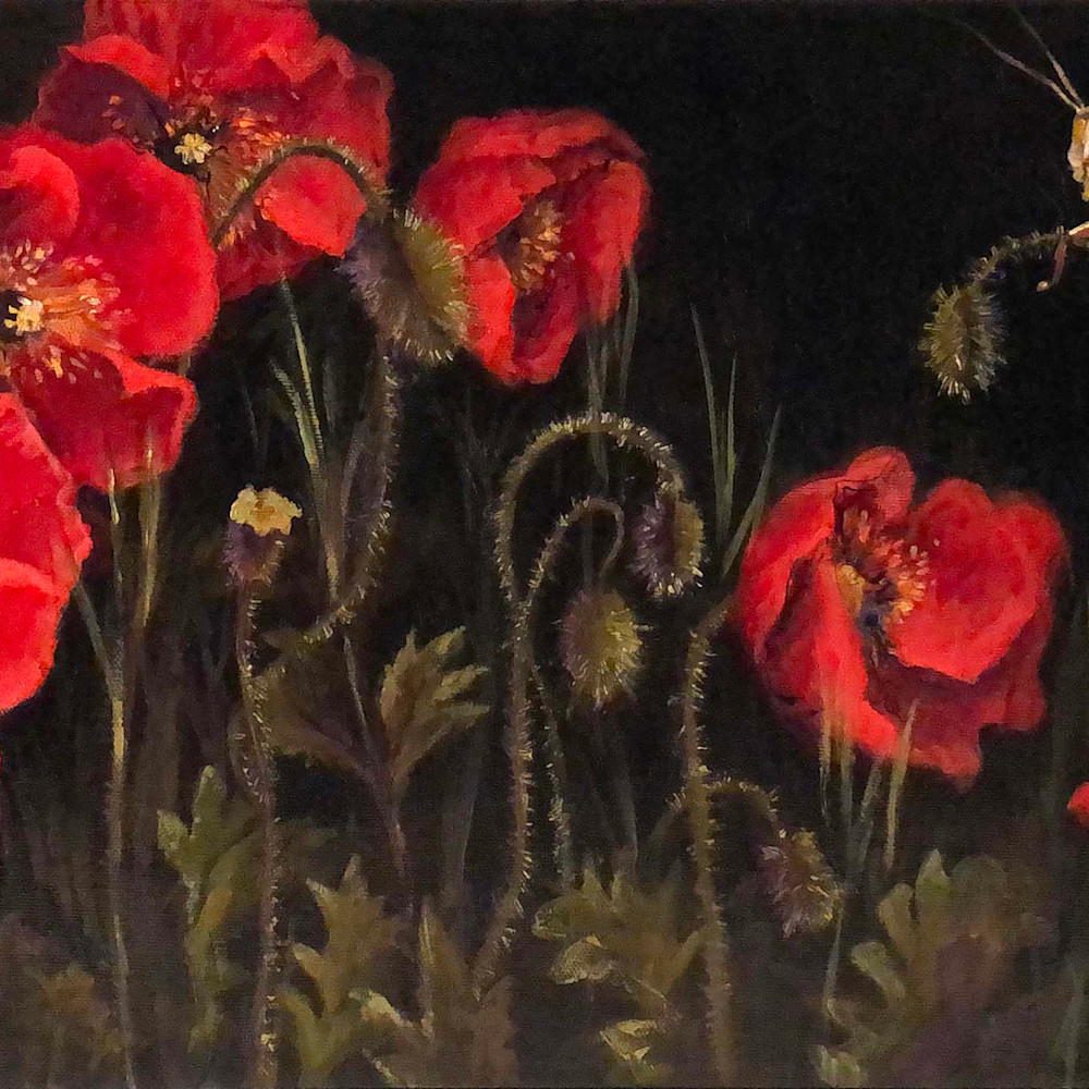 Red poppy hopper painting of red poppies no6ehj