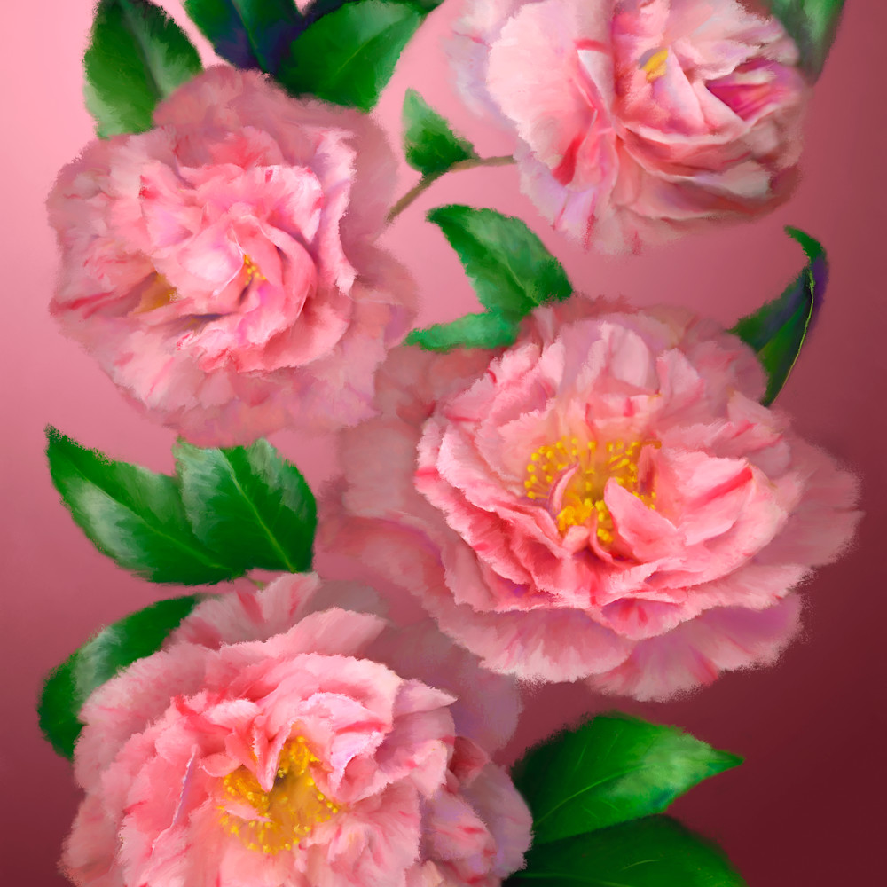 110602 ahern pink camellias 30x40x300 metal print hrdy7j