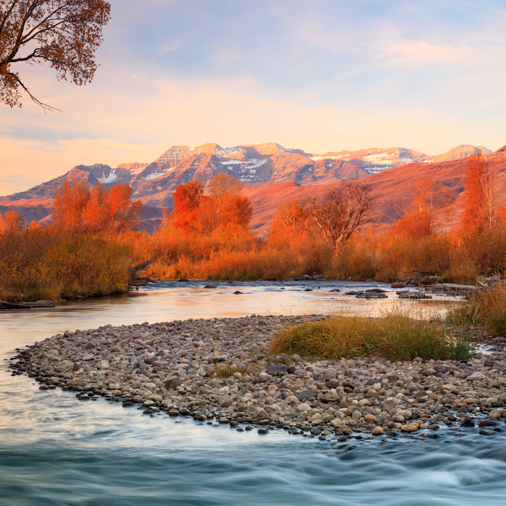 Golden glow at the provo river u0ruy7