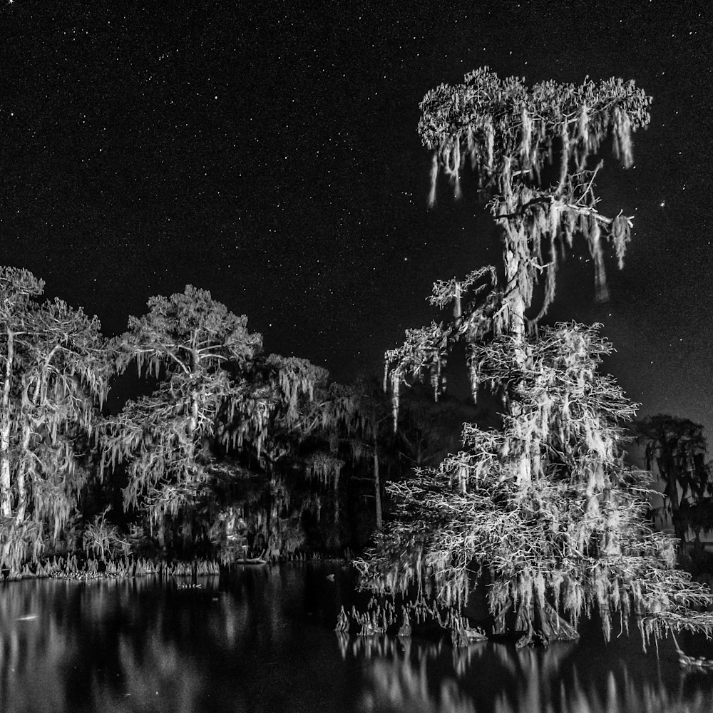 Andy crawford photography 190106 lake maurepas swamp 002 ojais2