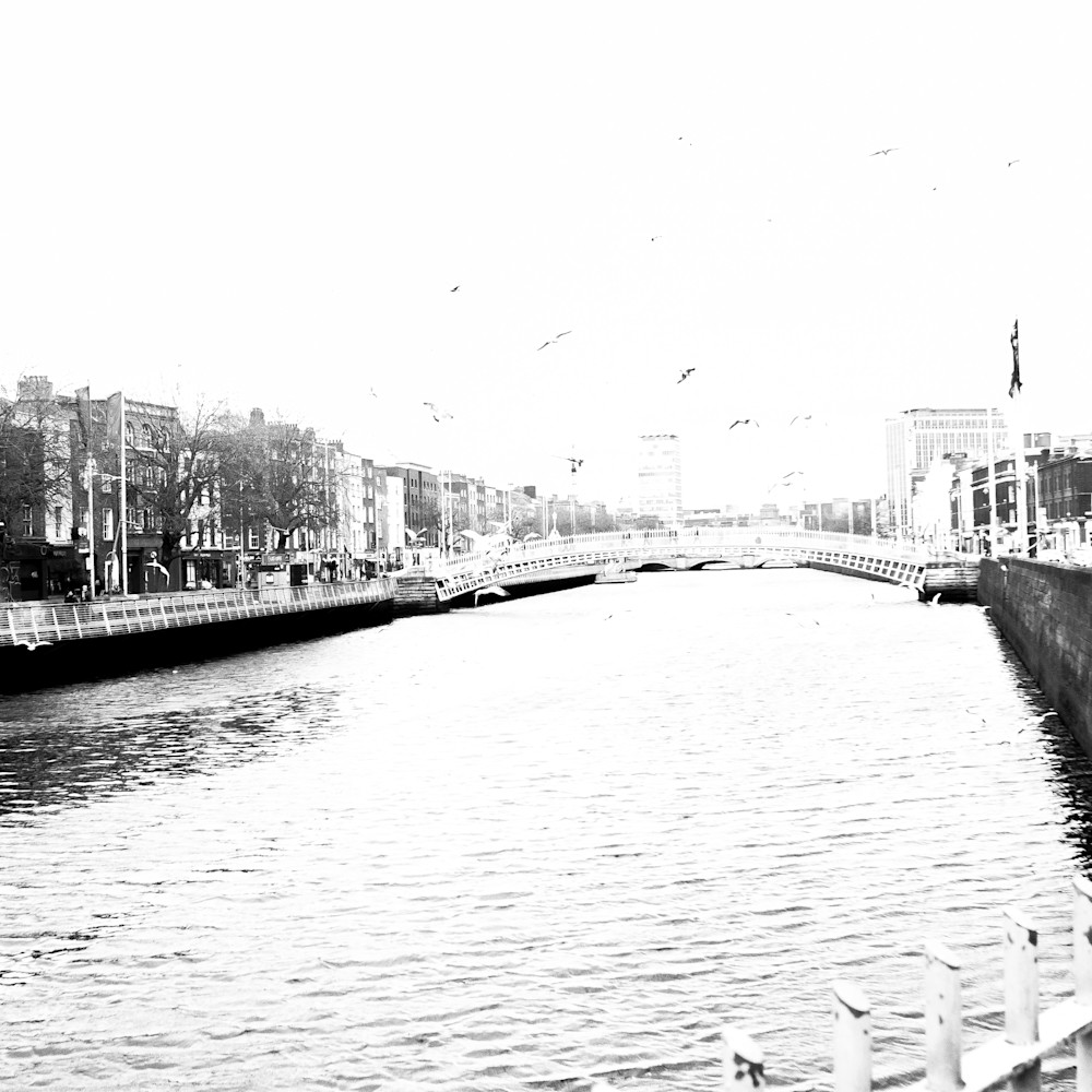 Dublin river liffey seagulls bw dsc 4148 grua8k