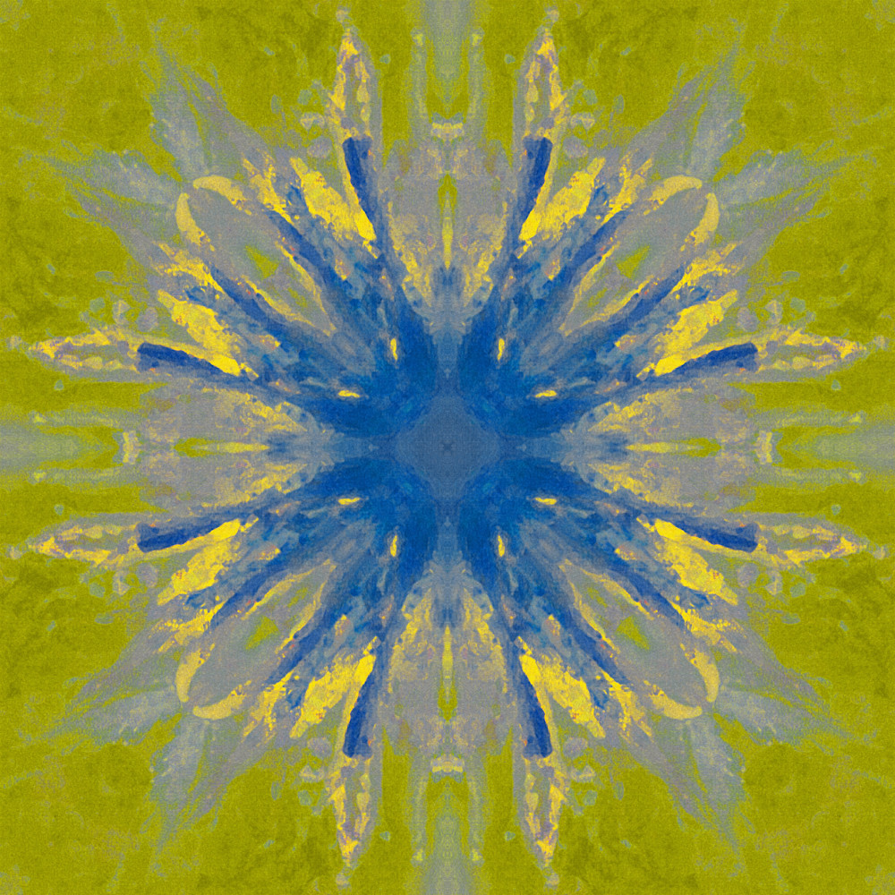 Canna blossom blue star expansion mv5krd