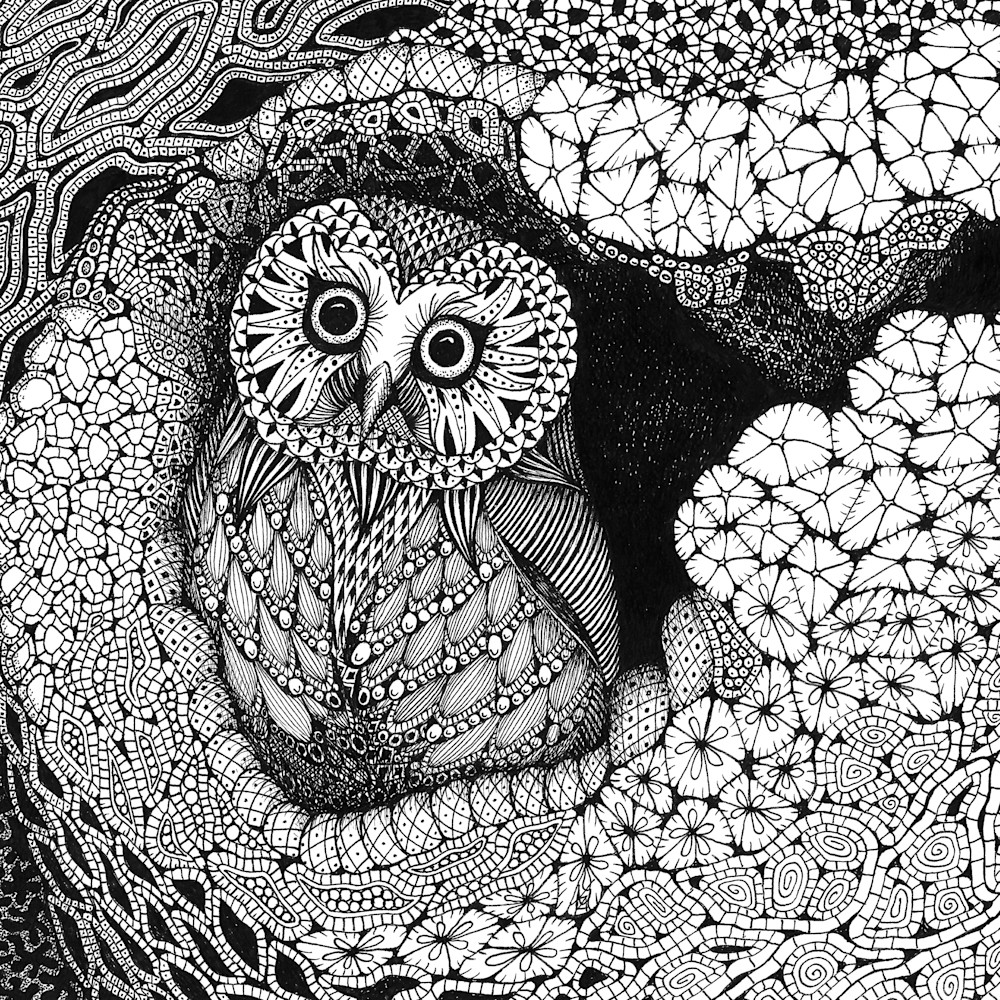 Owl in a hollow gxbwqu
