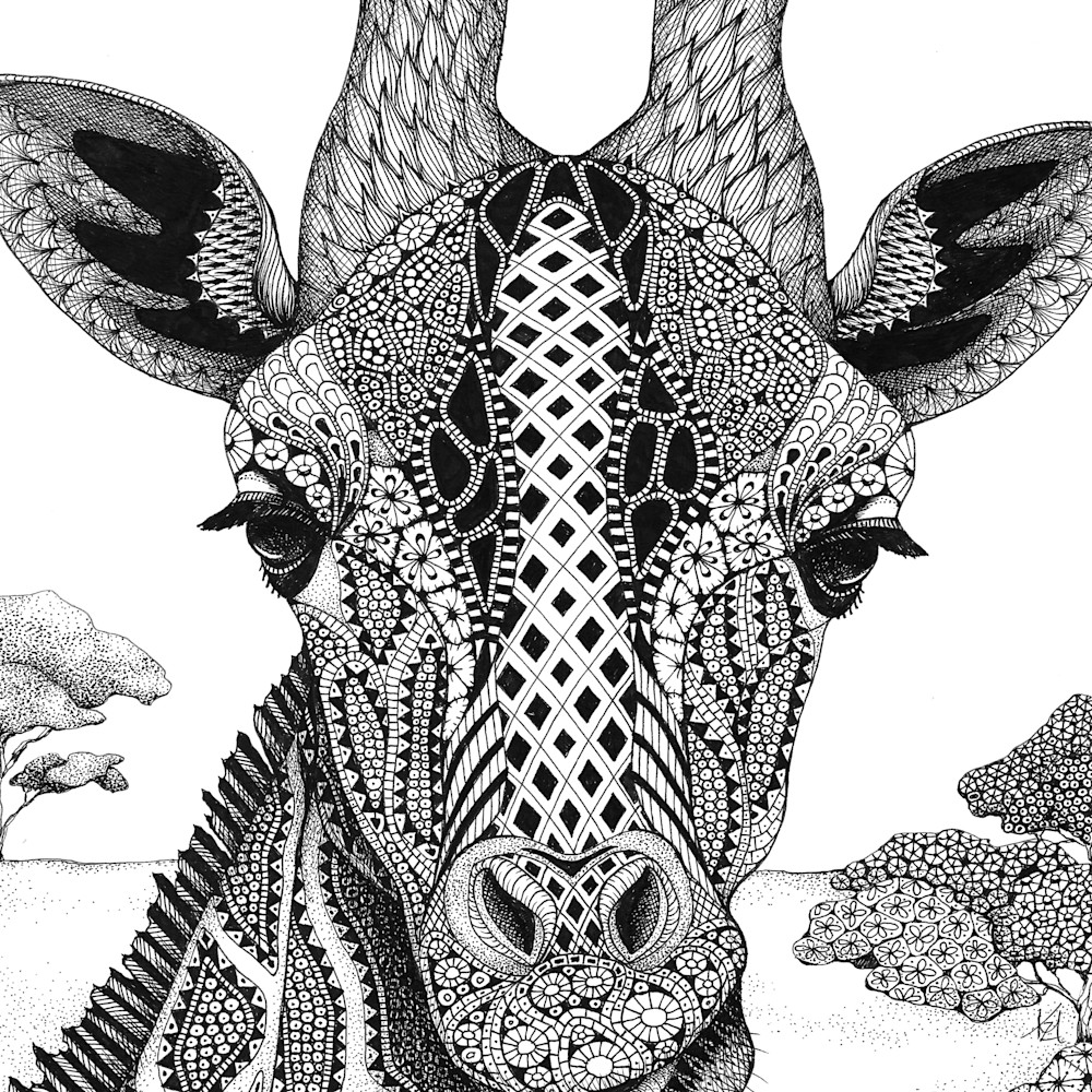 Giraff  serengeti plains giraffe portrait wfrhsl