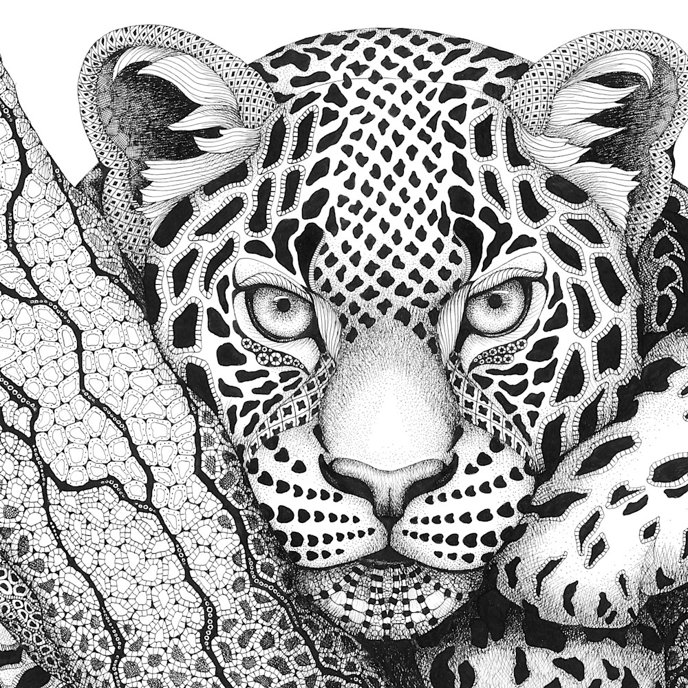 Leopard  large dodd portrait j4lsyo