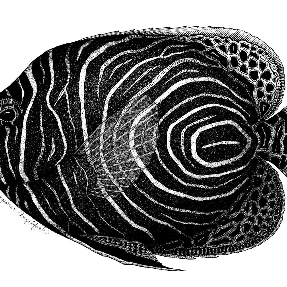 Emporer angelfish mmludf
