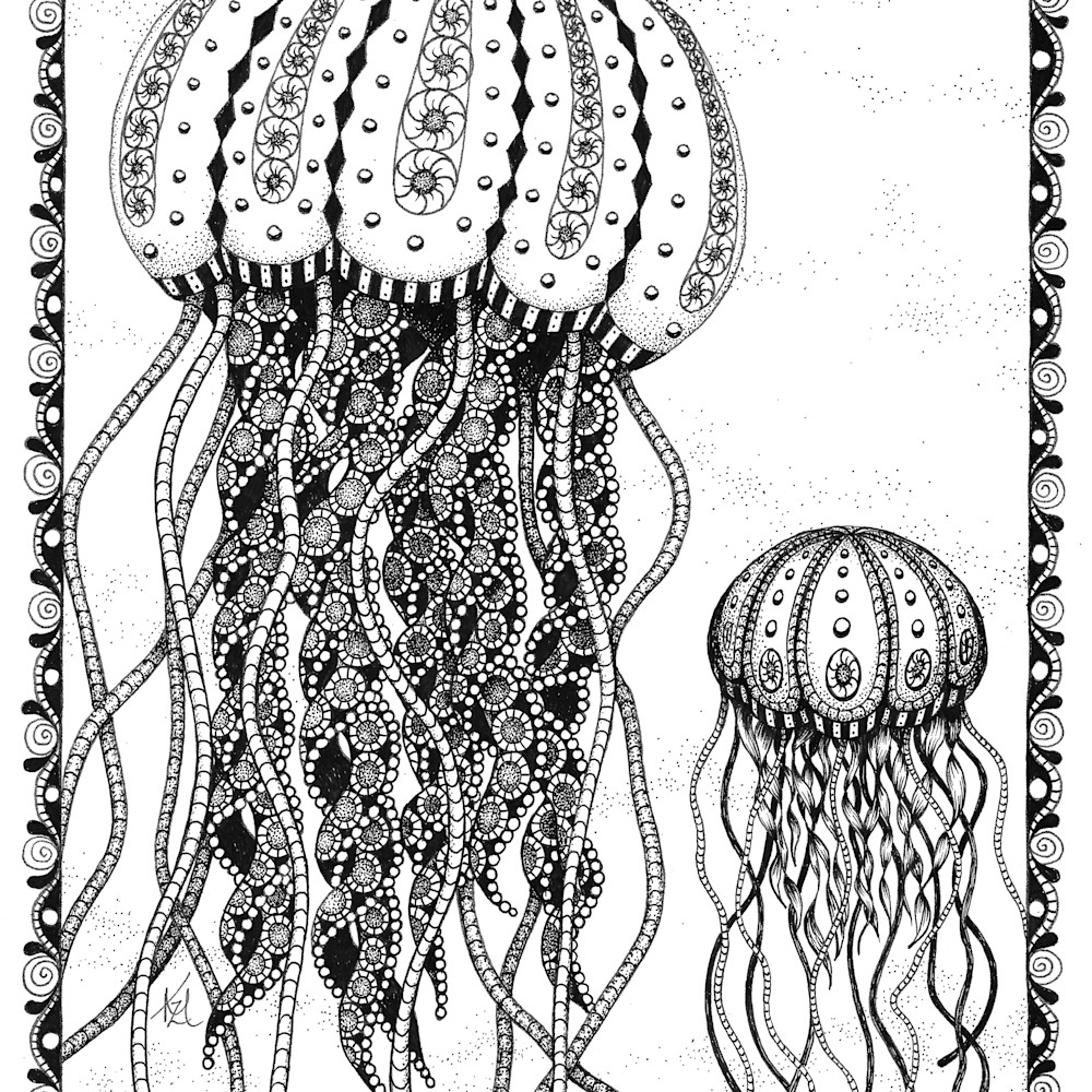 Jellyfish fd9i4i