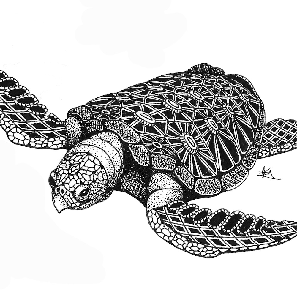 Sea turtle top hnqzuz