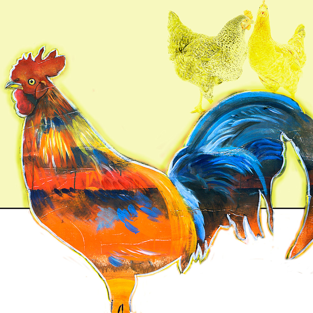 Rooster square b chickens jc22vl