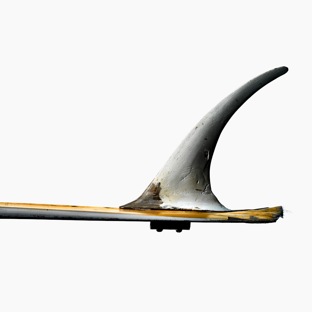 The fin project greenough velo kneeboard mf 247bg s8nmqj