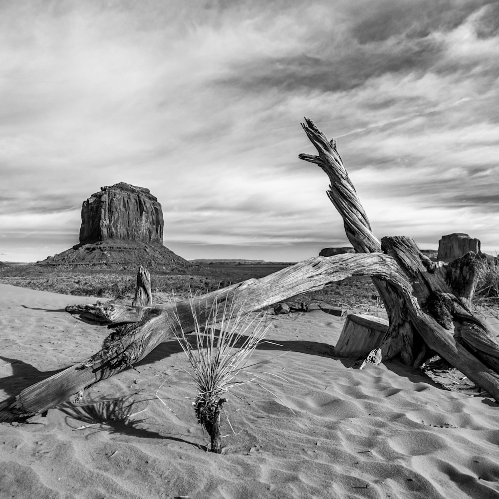 Andy crawford photography monument valley 006 bprgp3