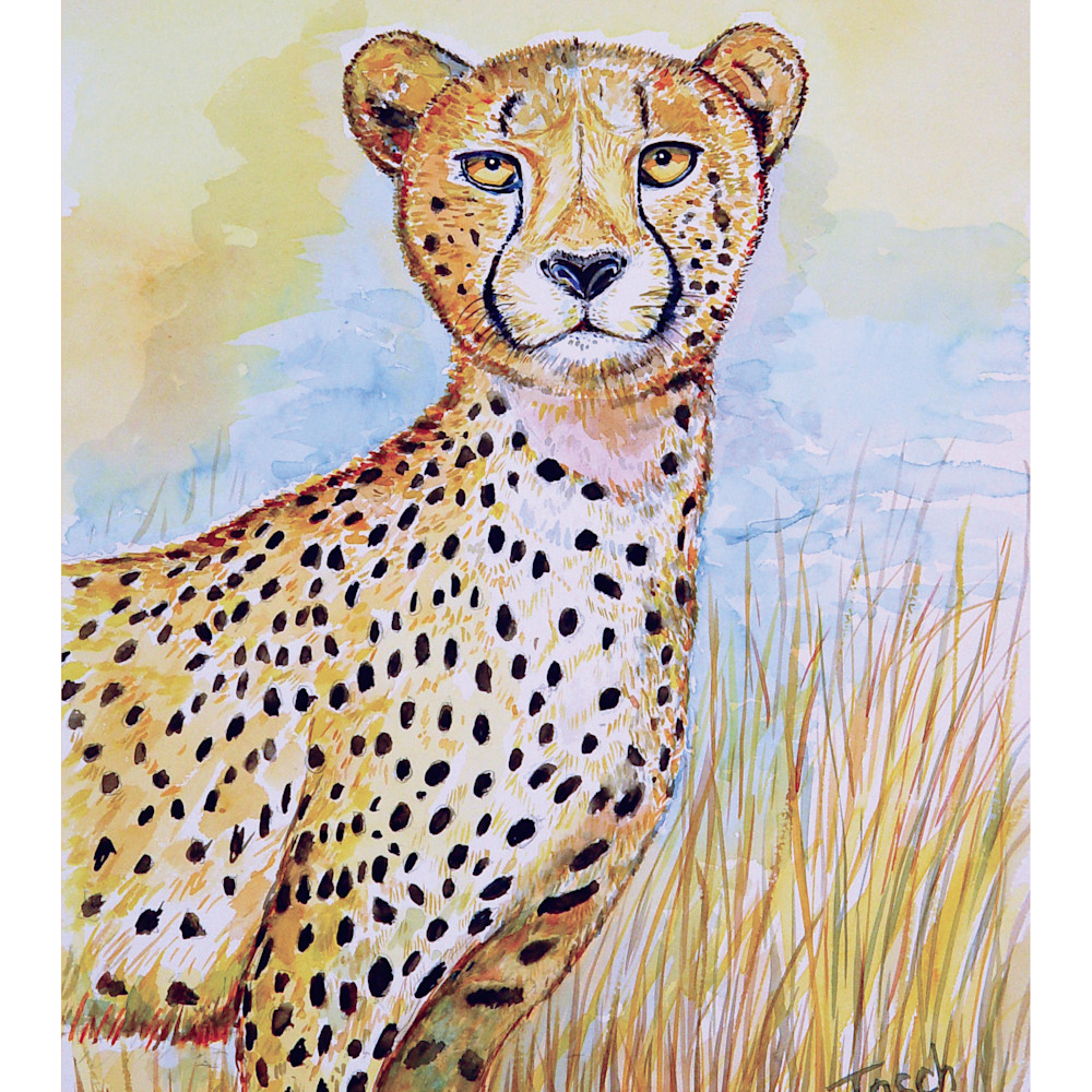 Cheetah 3463 ed. 8.4 lo0xqv