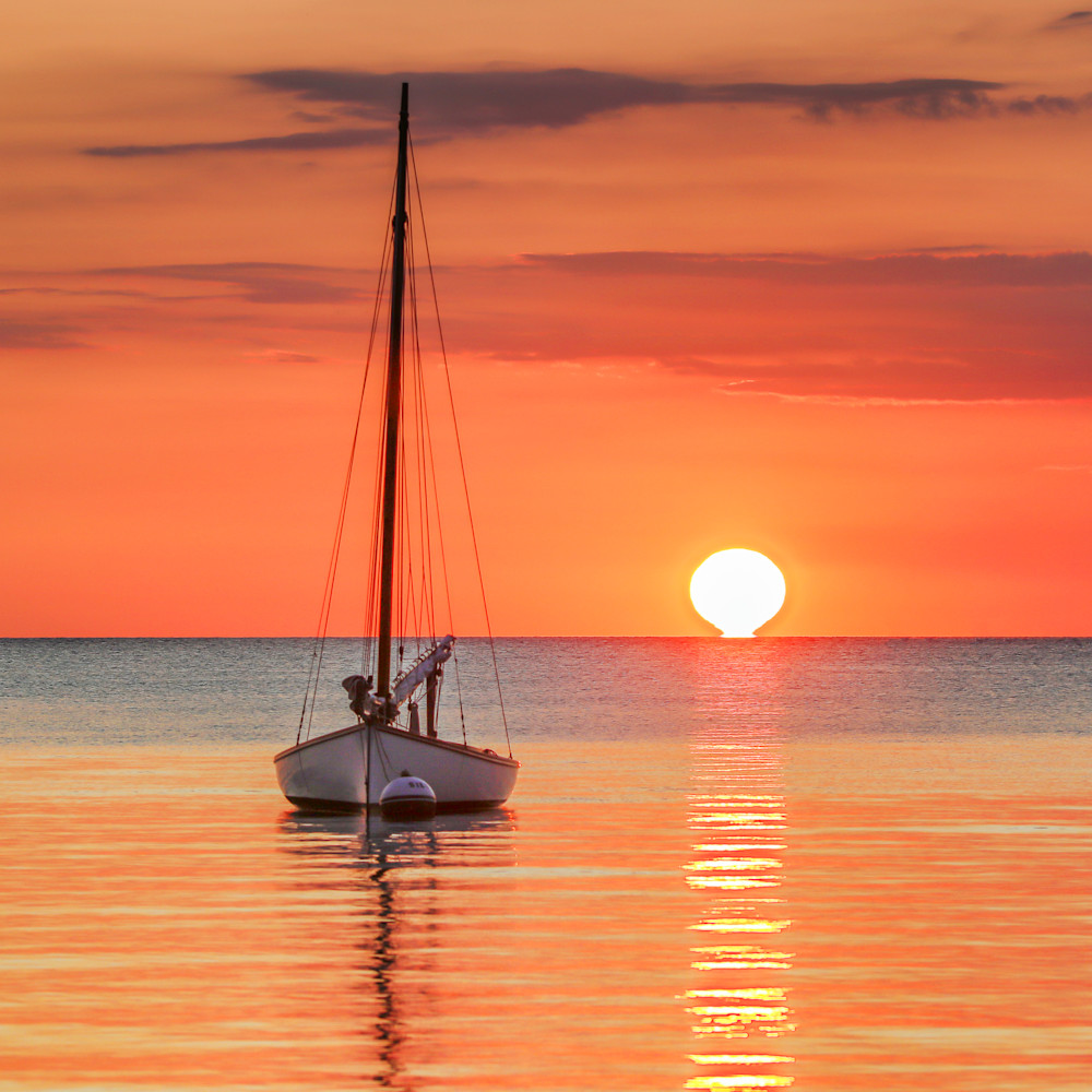 Vineyardd haven harbor sailboat sunrise cd1nlq