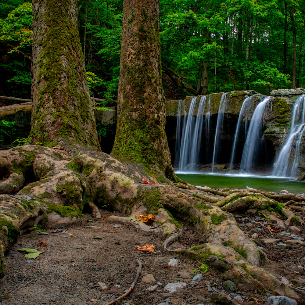 Andy crawford photography great gully creek waterfall svrhhr