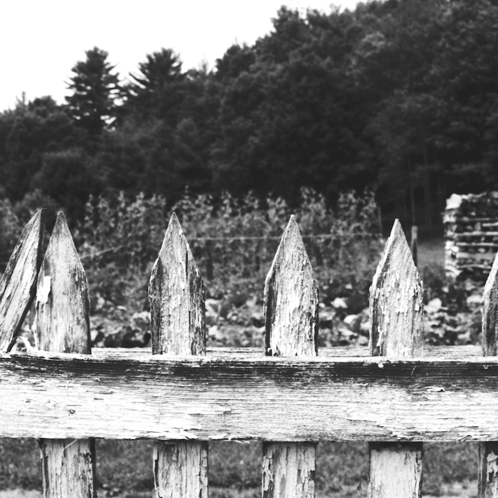 Picket fence scan s3crxx