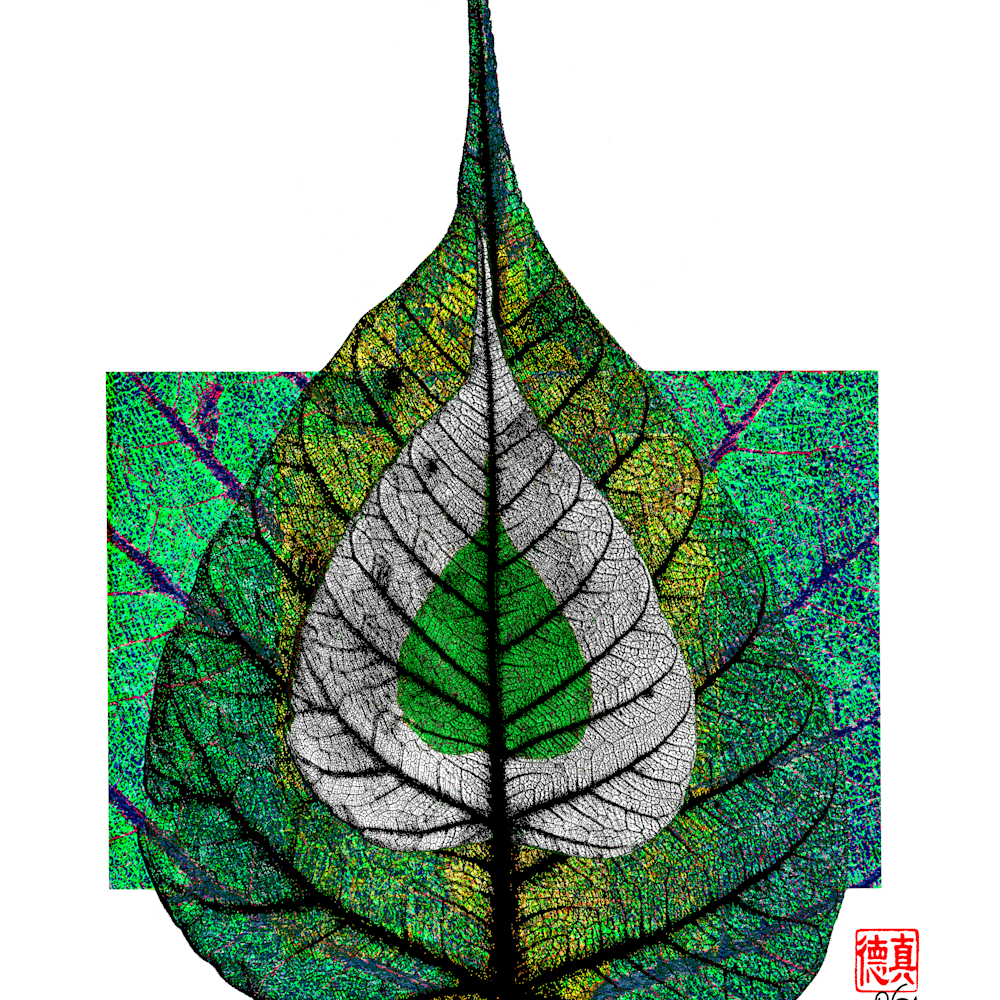 Bodhi leaf largezcg mjecrv