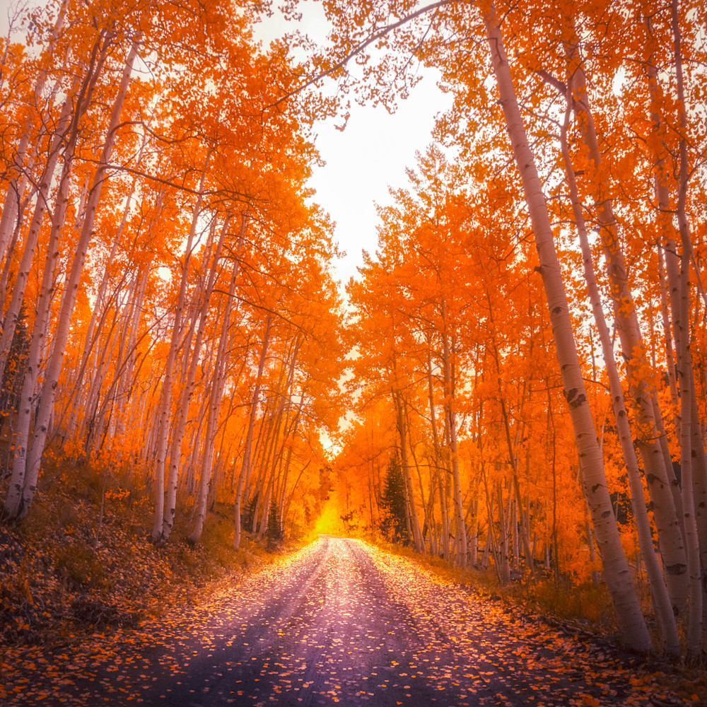 Fall country road asf gallery s0x7bf
