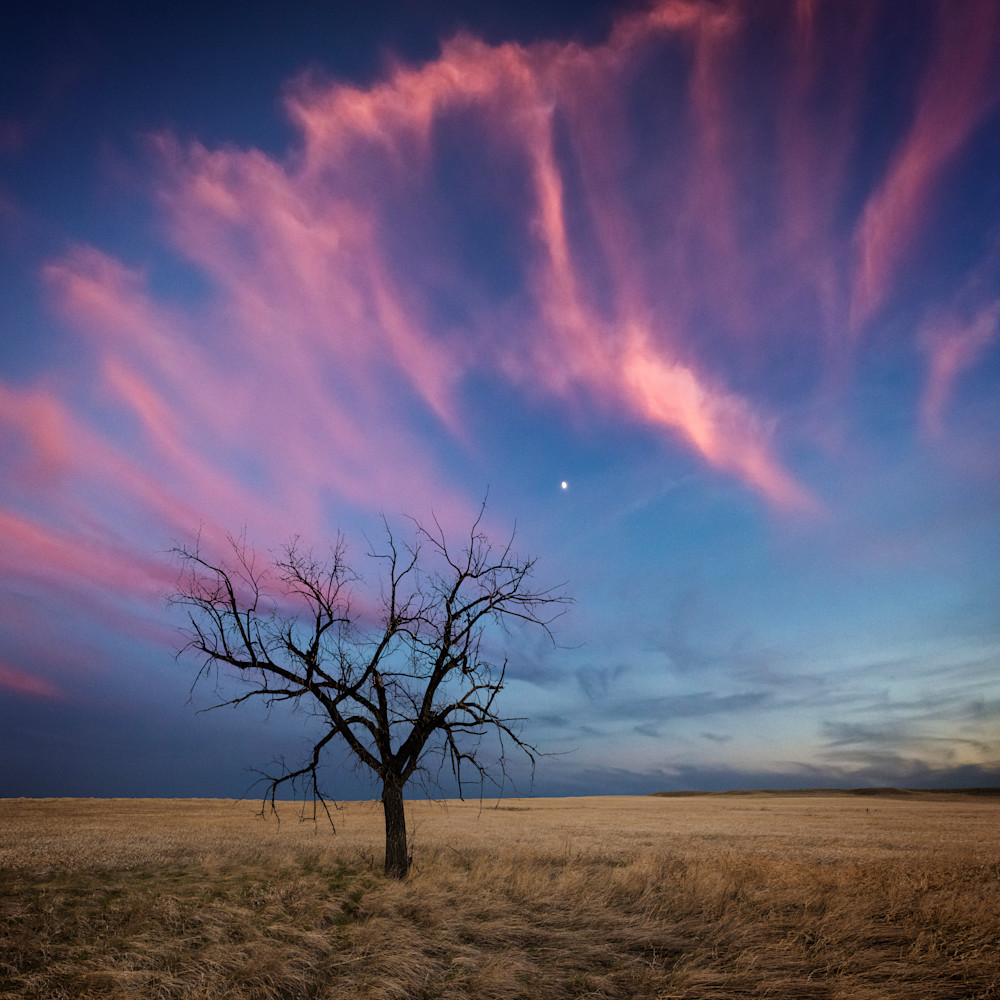  7507839 pawnee lone tree composite with moon and sky clouds 2019 dt8u0e
