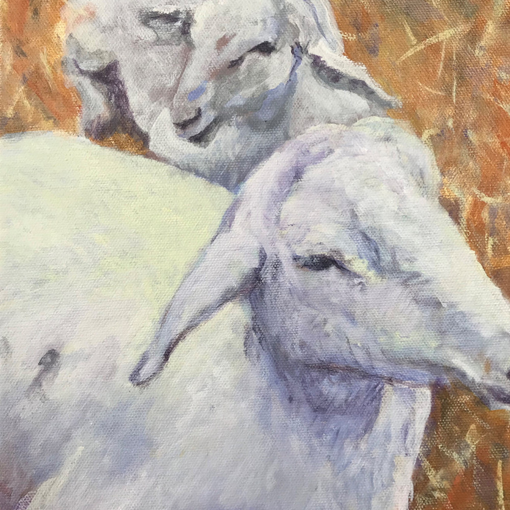 2019 8 5 sheep at the fair acrylic 12h x 9w ghkdsy