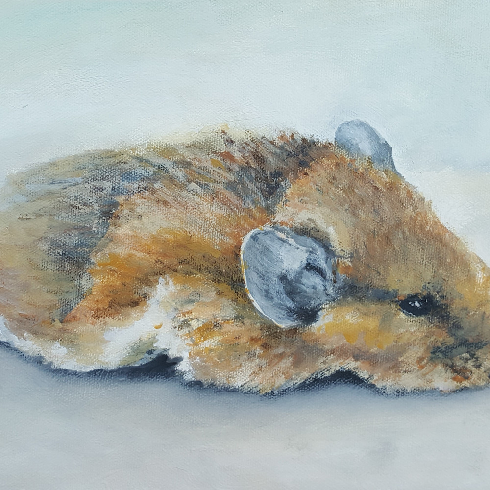 2017 03 05 field mouse at 18 degrees fahrenheit acrylic 8x10 nfggpv
