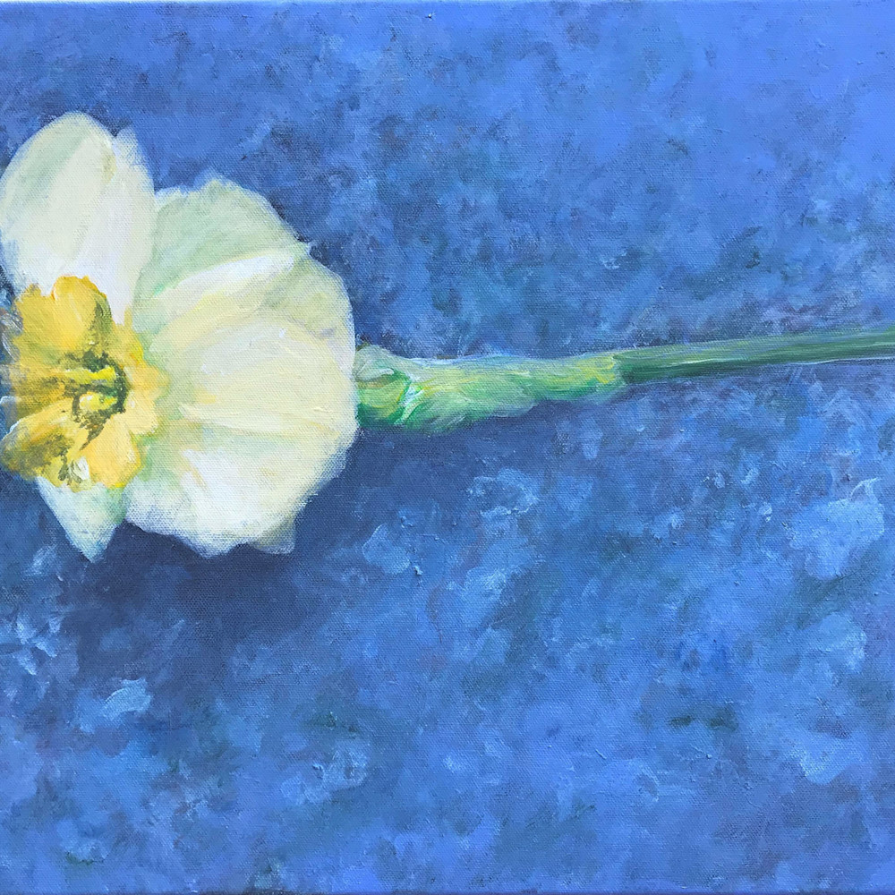 2018 5 10 daffodil a painting 7 acrylic 16 x 20 x .75 mp5tlo