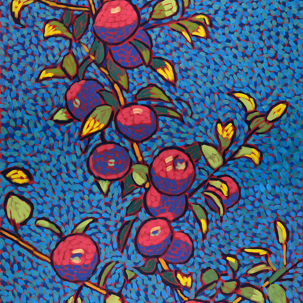 Apples branches blue skyasf luk21o