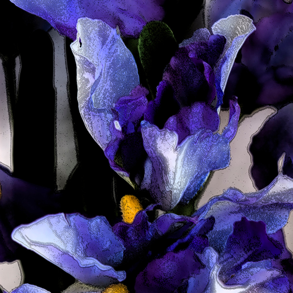 Irises   ink outlines qg6joo