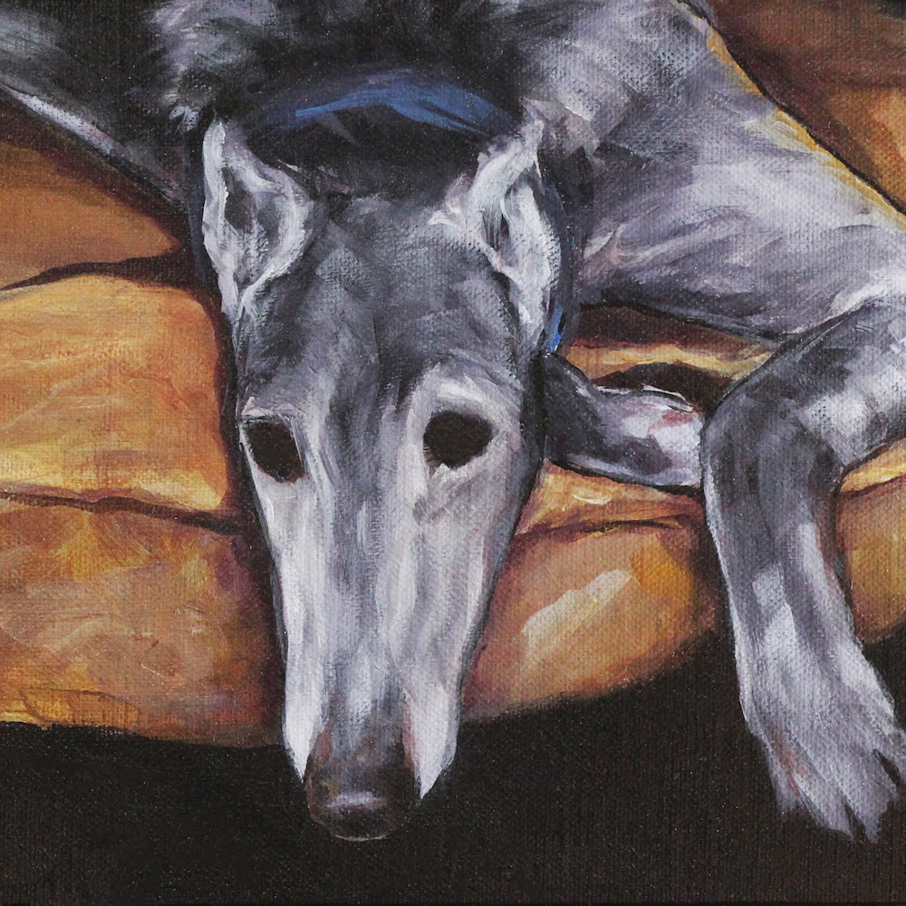 Greyhound lounging joan frimberger p3lmmp