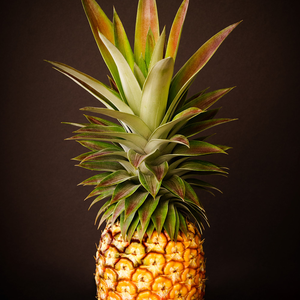 White pineapple king 2x3 wwhqiv