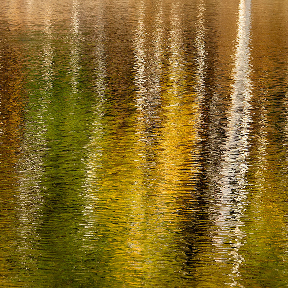 Autumn ripples davidjwest n7o76s