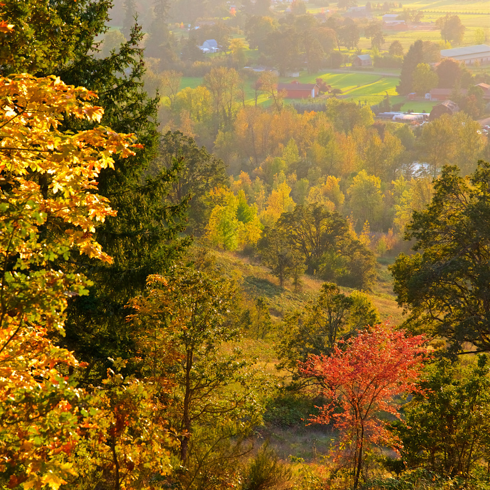 South willamette valley autumn color oregon akx9pm