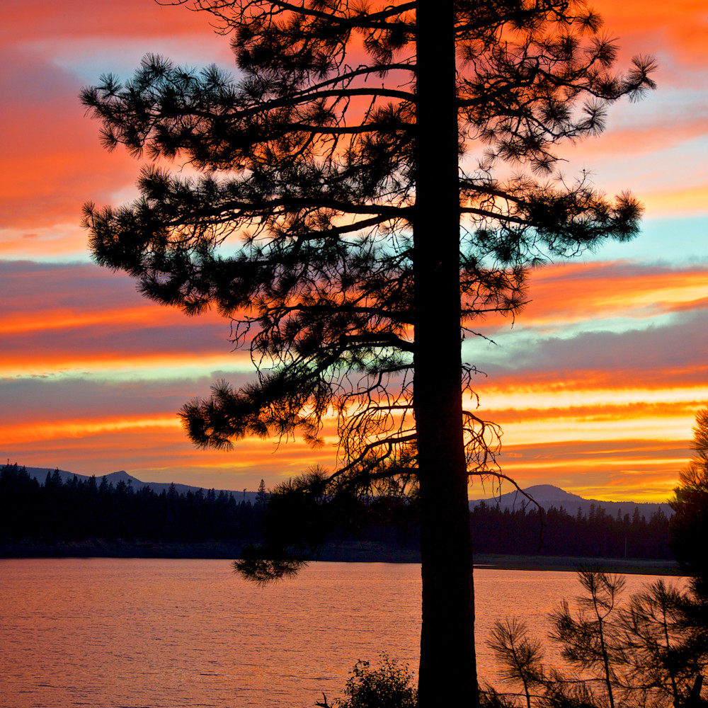 Twin lakes sunset tree oregon i3v96k