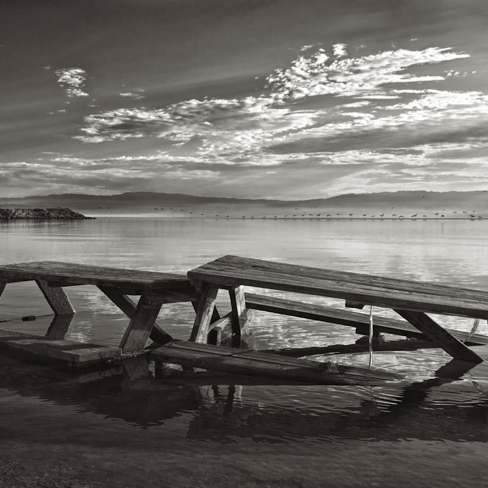 Salton sea picnic table in water california nxnbax