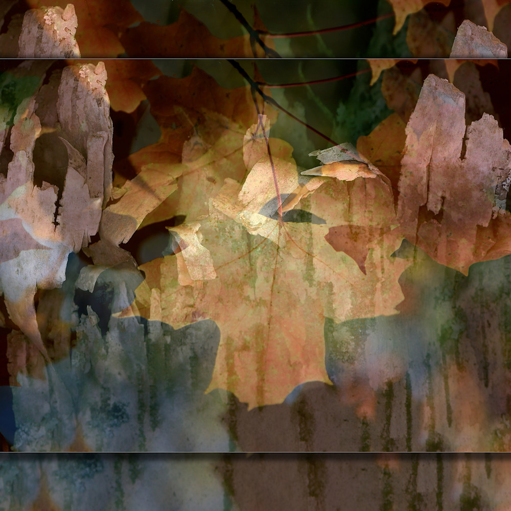 Abstract leaf 3d r3dhhb