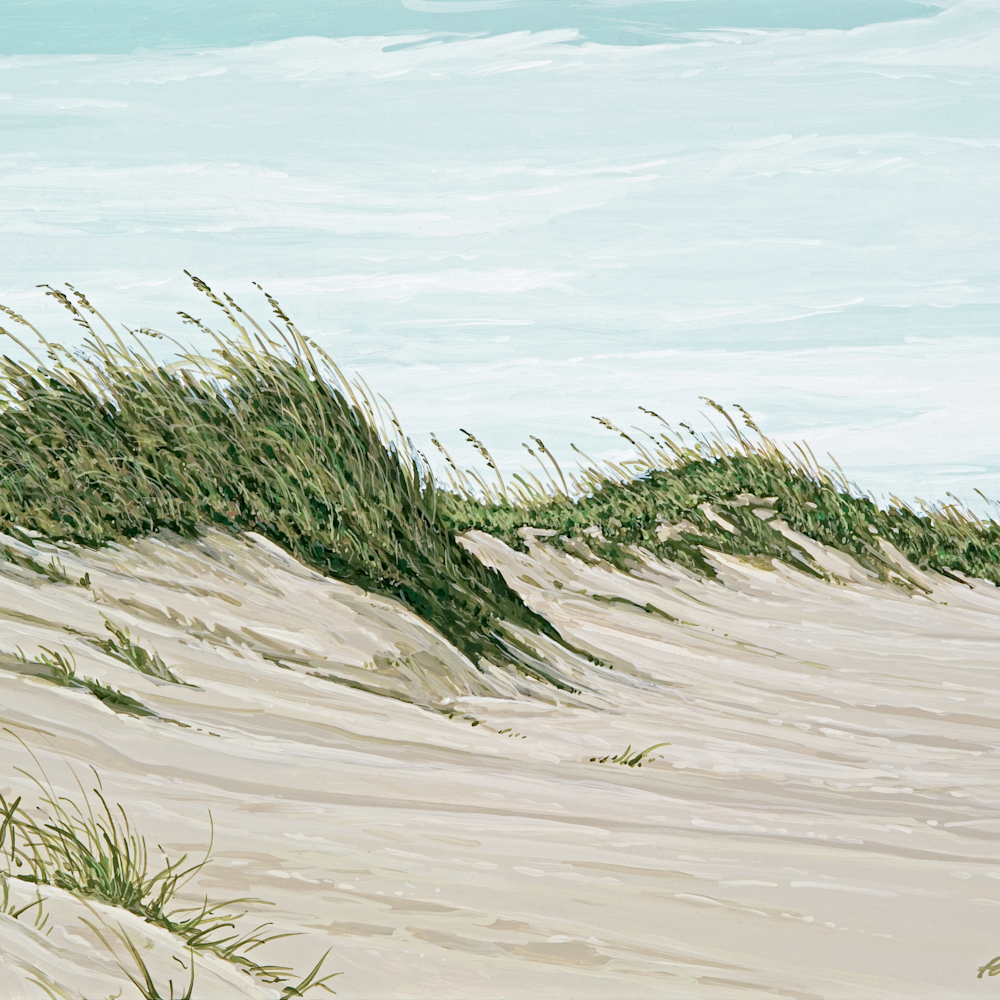 Carolina shores 13x17 pmlqp9