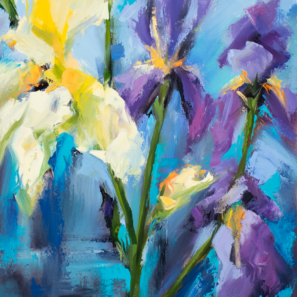 Irises w3cxei