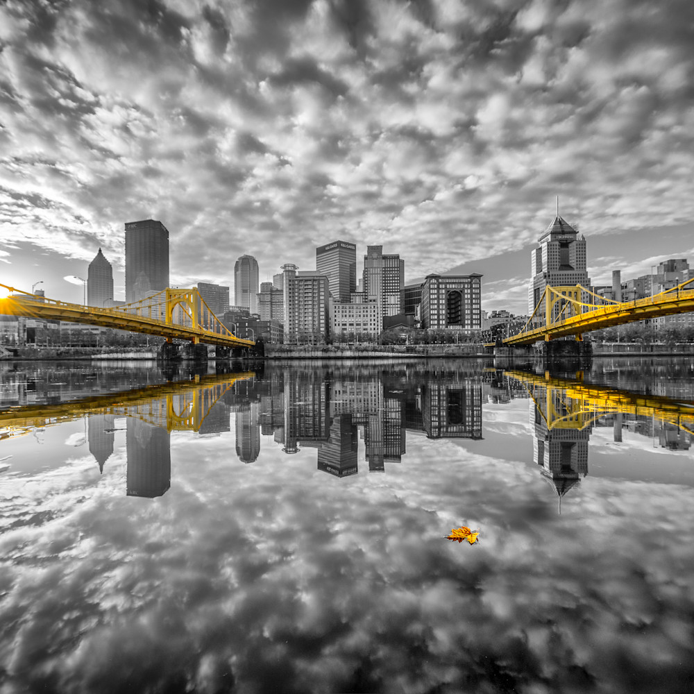 The lonely leaf selective color black and gold pittsburgh reflection bvtrv1