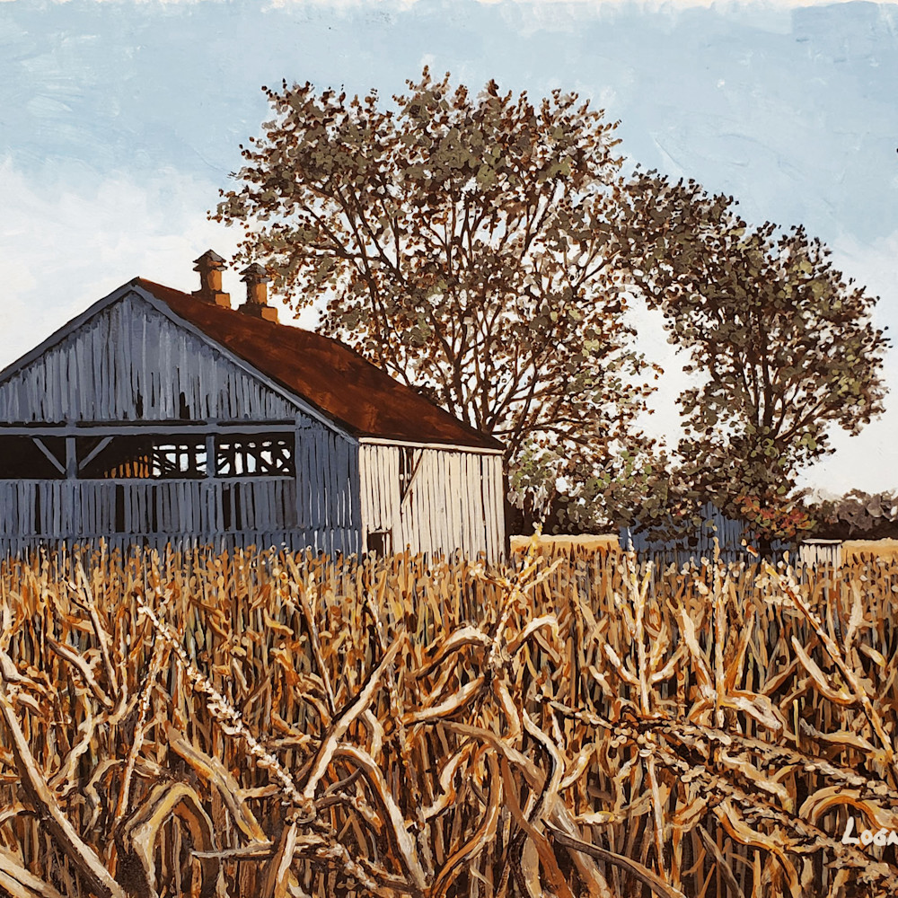 Barn with cornfield gfsmln