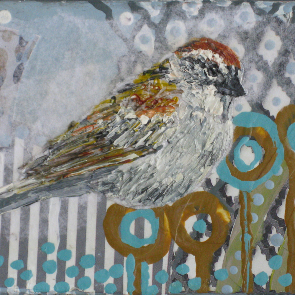 Chippingsparrow elqcqt