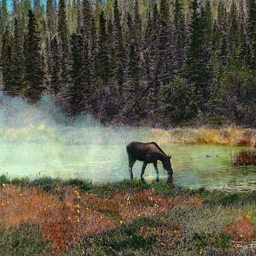Moose in mist lyzudw