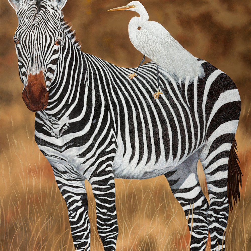 Zebra and egret stitched x3 sized 36 x 26 sharpen sjgreq