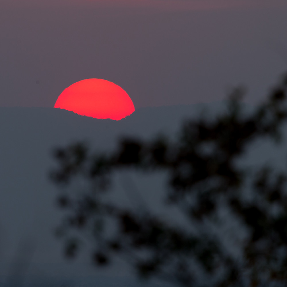 Red sunset tarangire park tanzania lxu3jg