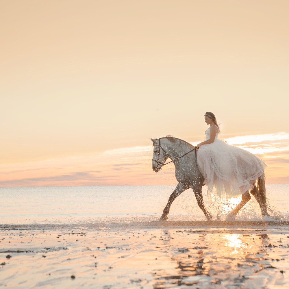 Equestrian sunrise beach soft light bride eunzvd
